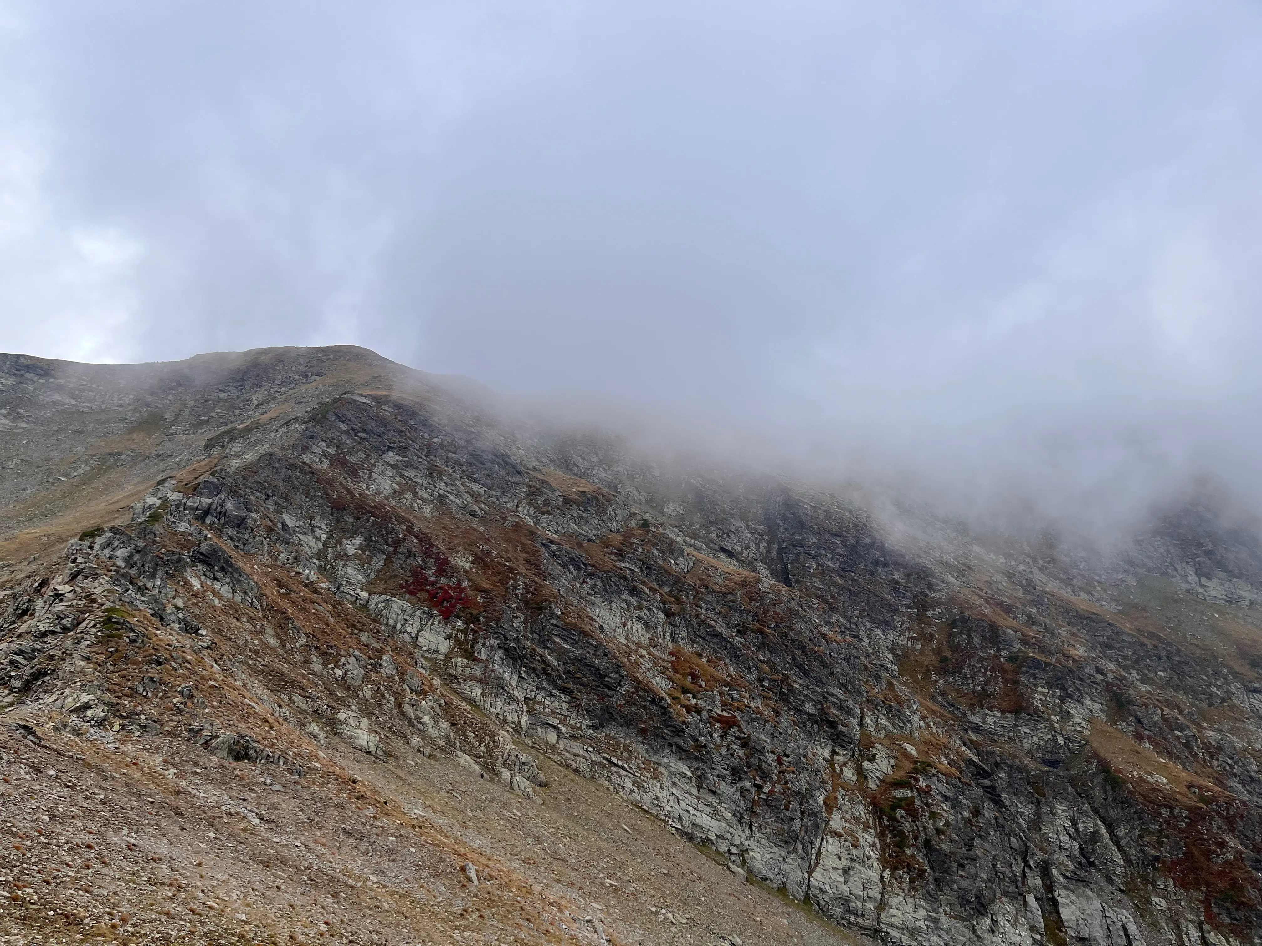 Путь наверх к обзорной точке (фото 3)