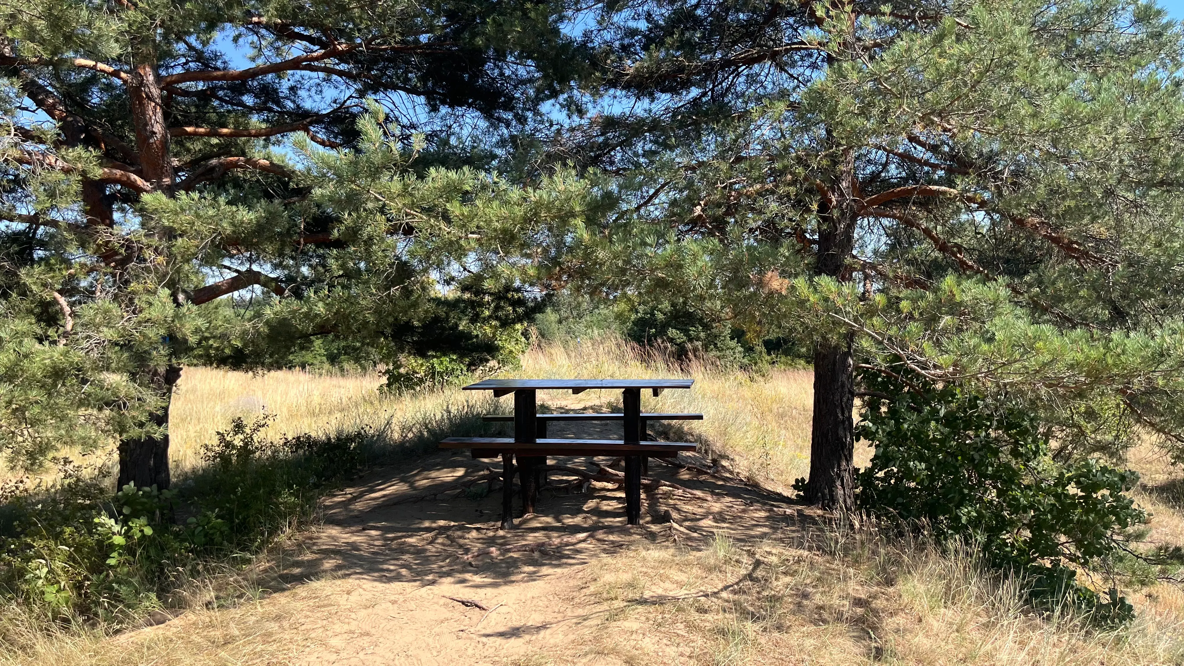 Европейская Сахара в Сербии. Делиблатские пески