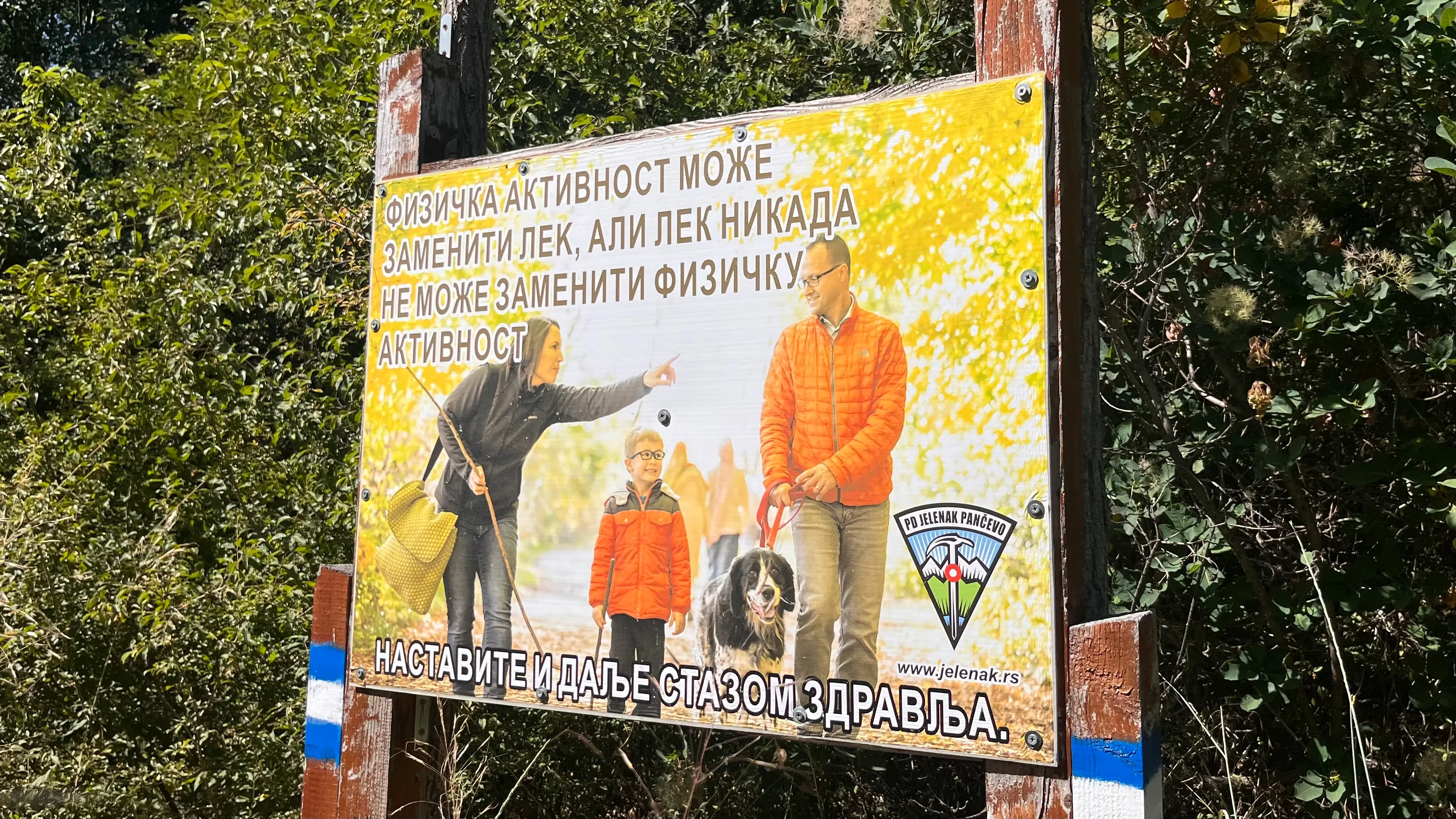 Прописные истины