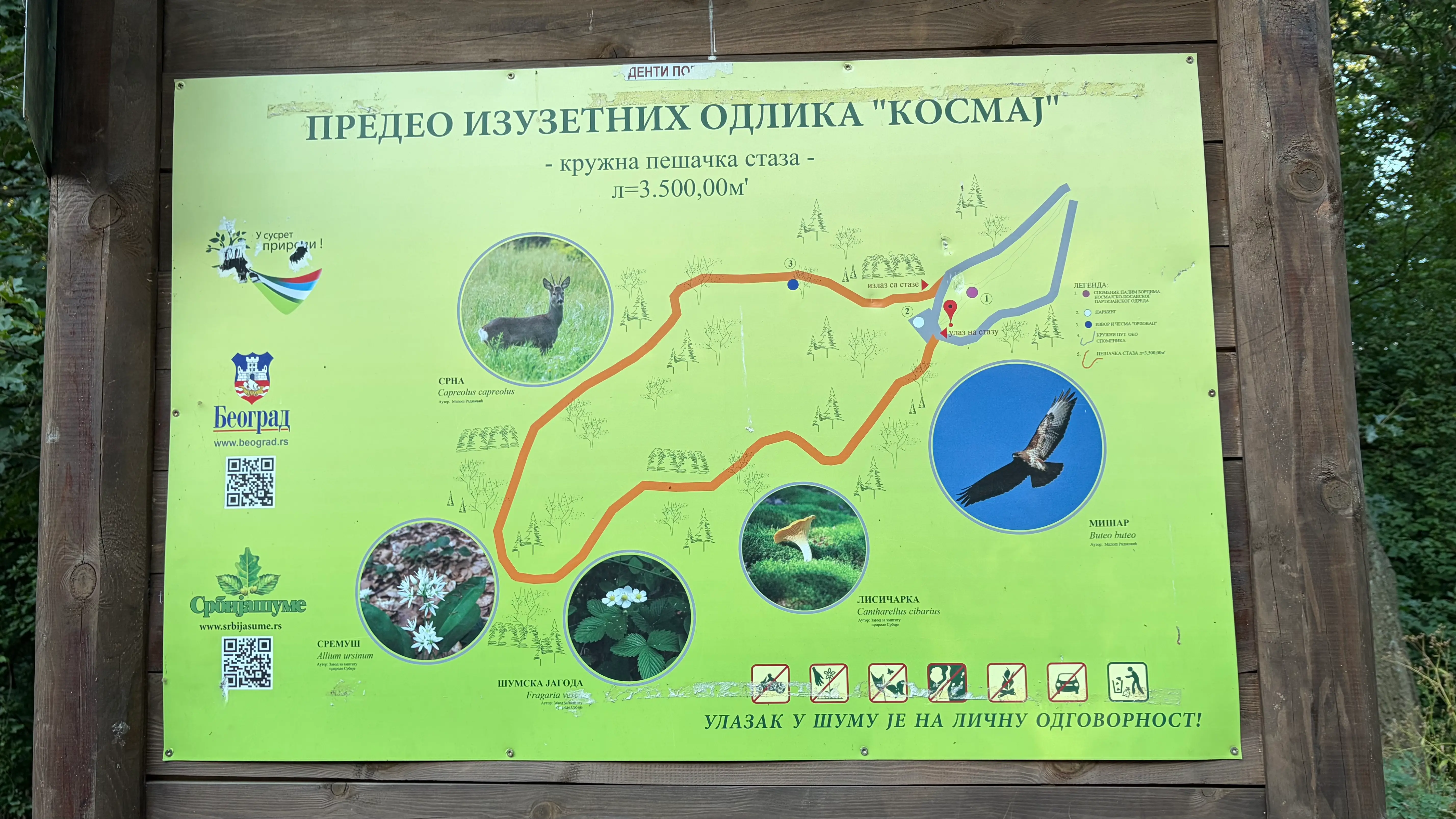 Карта маршрута