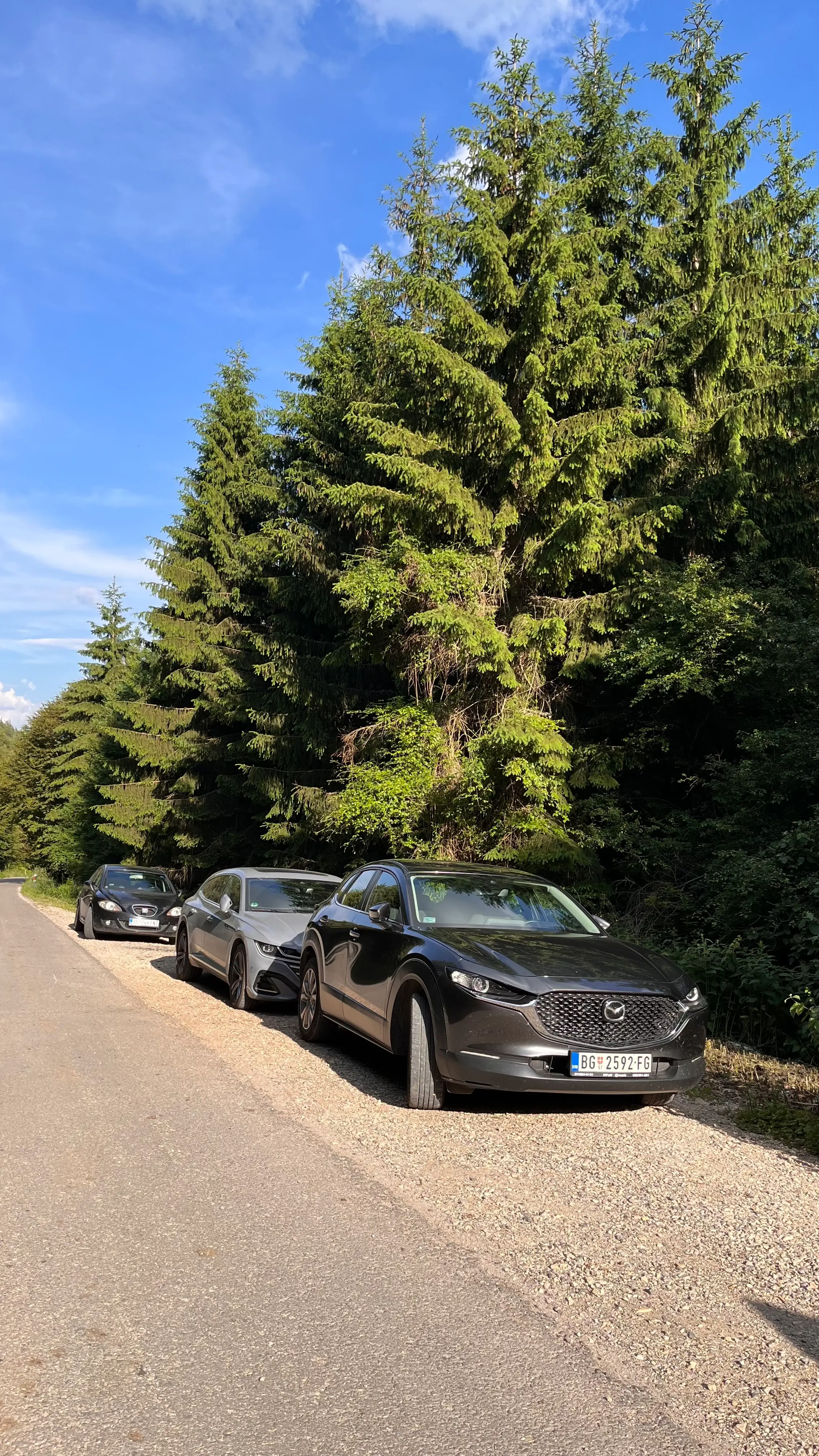 Все бросают машины на обочине