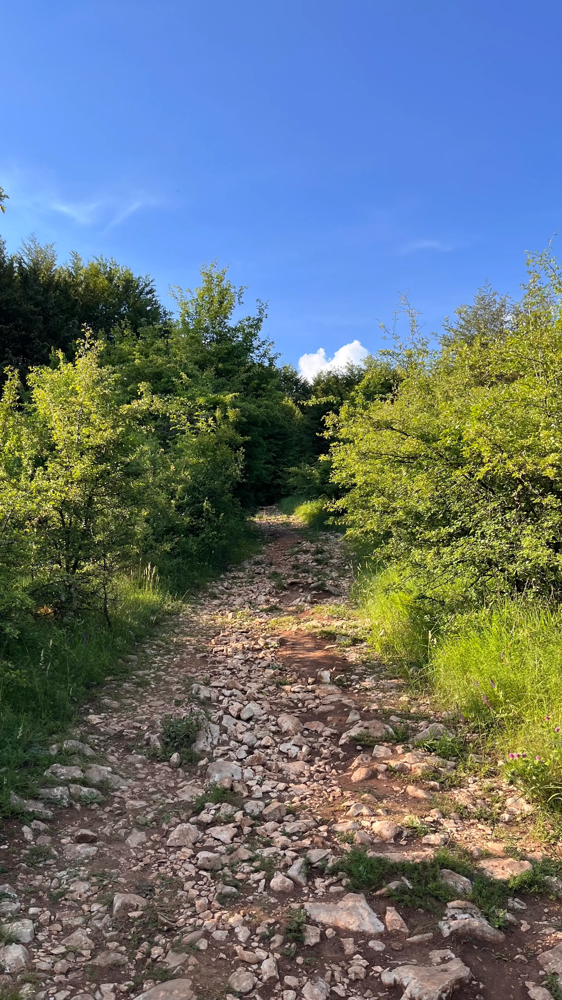 Пример участка пути