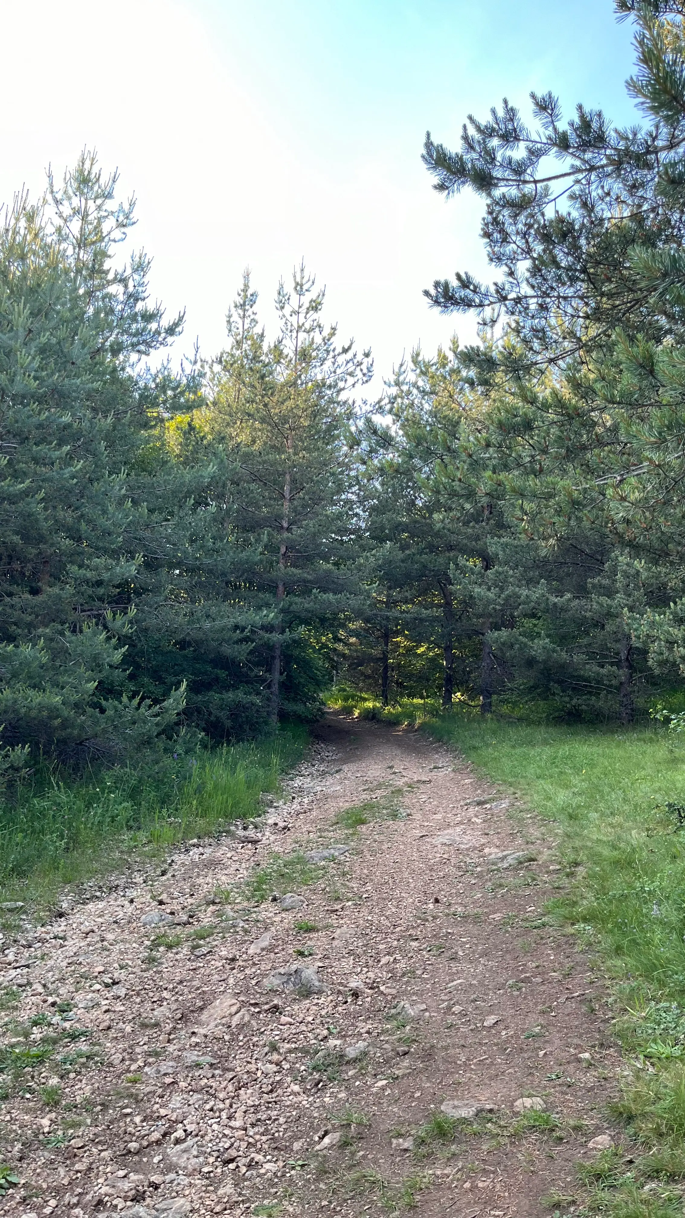 И еще пример