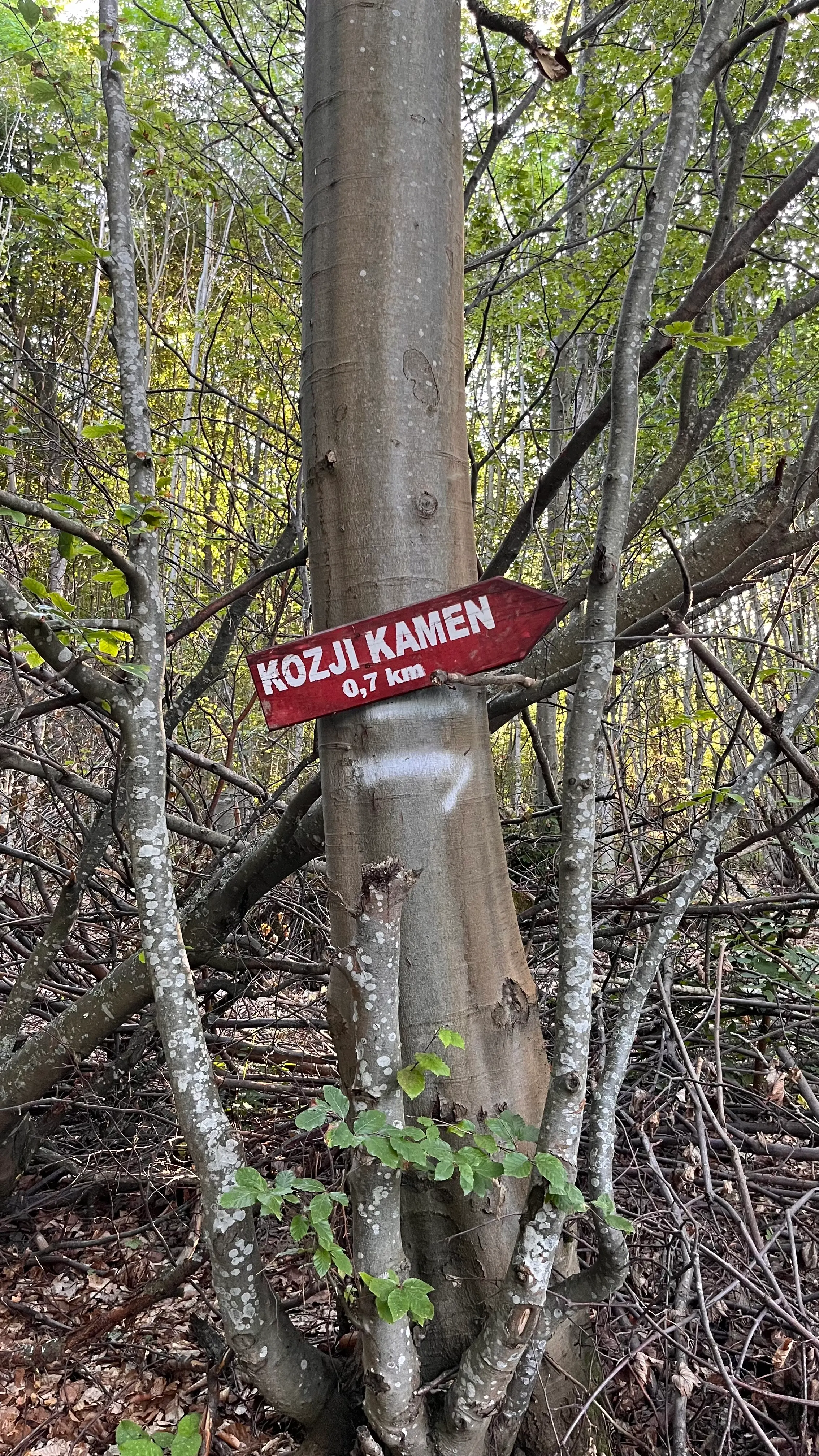 700 метров до финиша