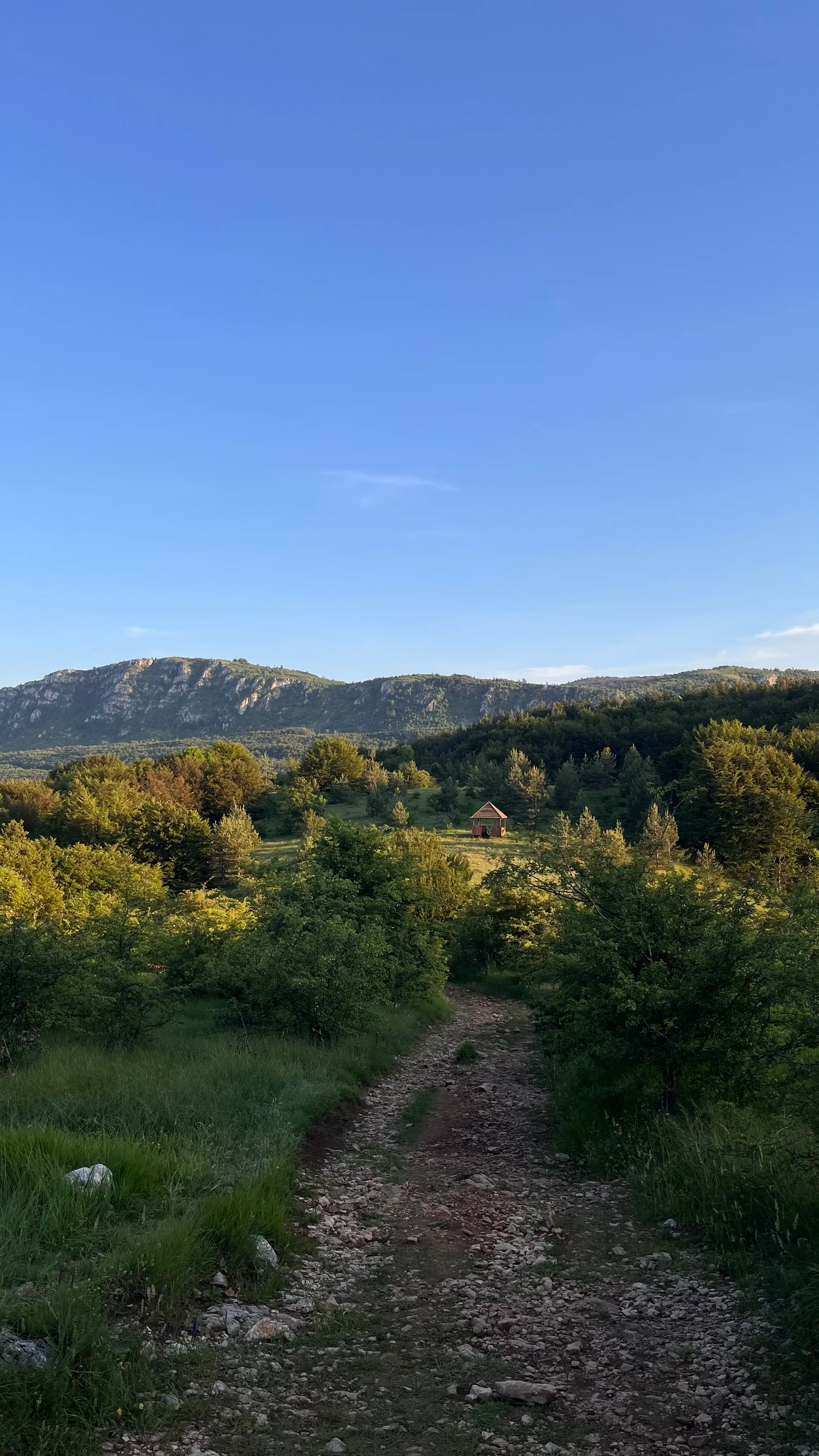 Беседки для отдыха