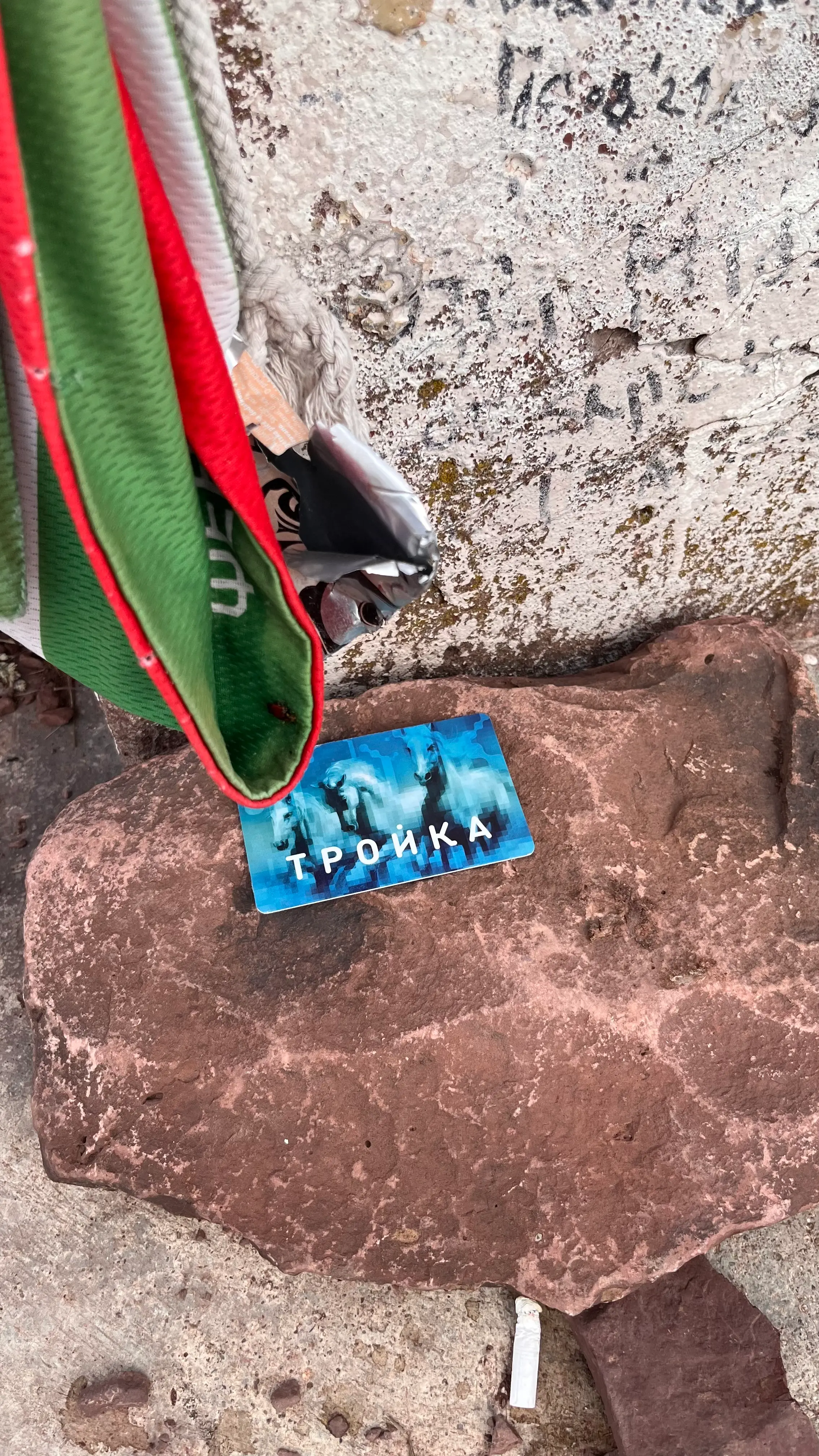 Фото проездной карты 