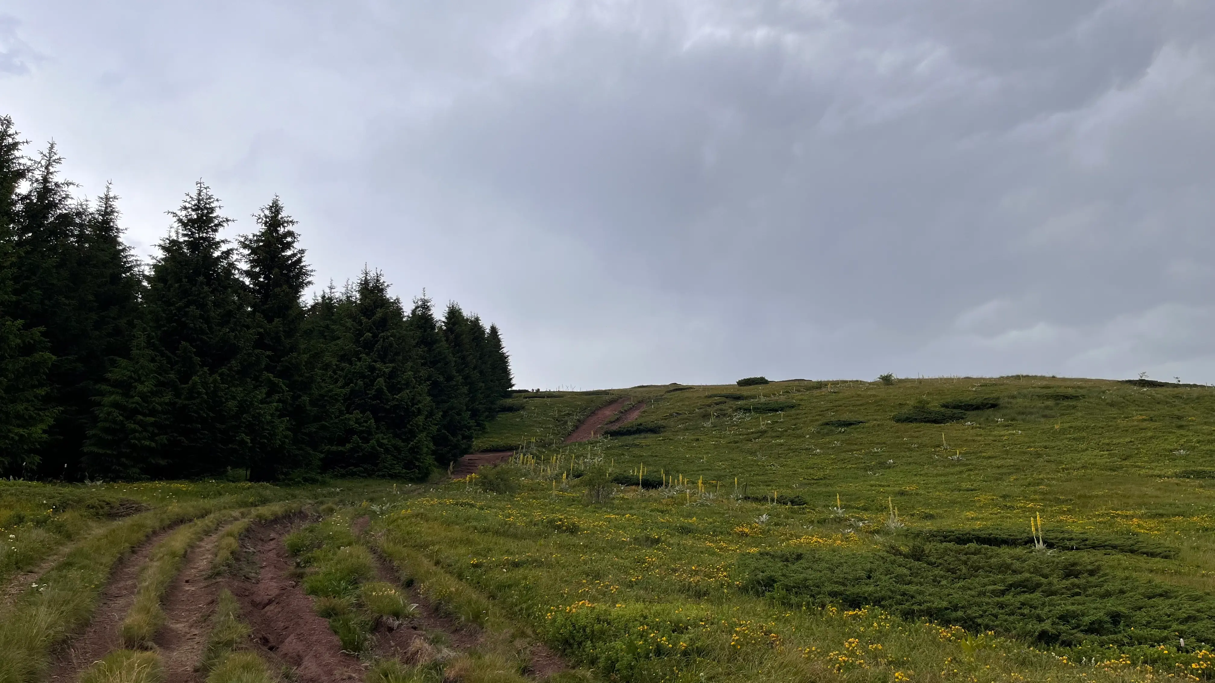 Пробираемся через колею от внедорожников