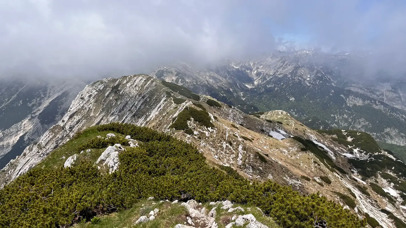 Летний хайк на Шию и Вогель