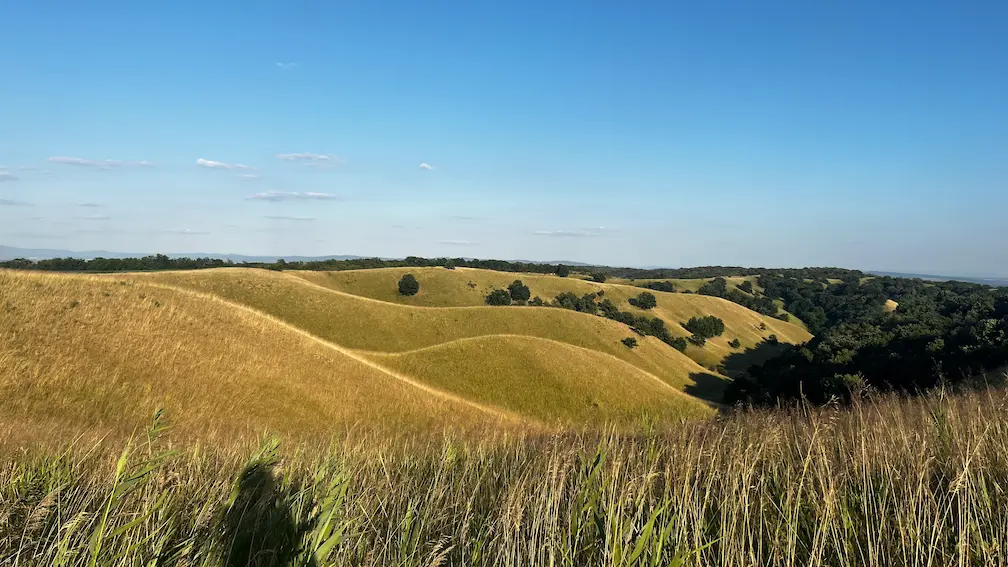 Загајичка брда — красивейшие холмы Воеводины